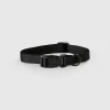 Black dog collar