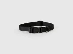 Black dog collar