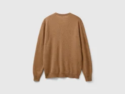Brown V-neck sweater in pure Merino wool