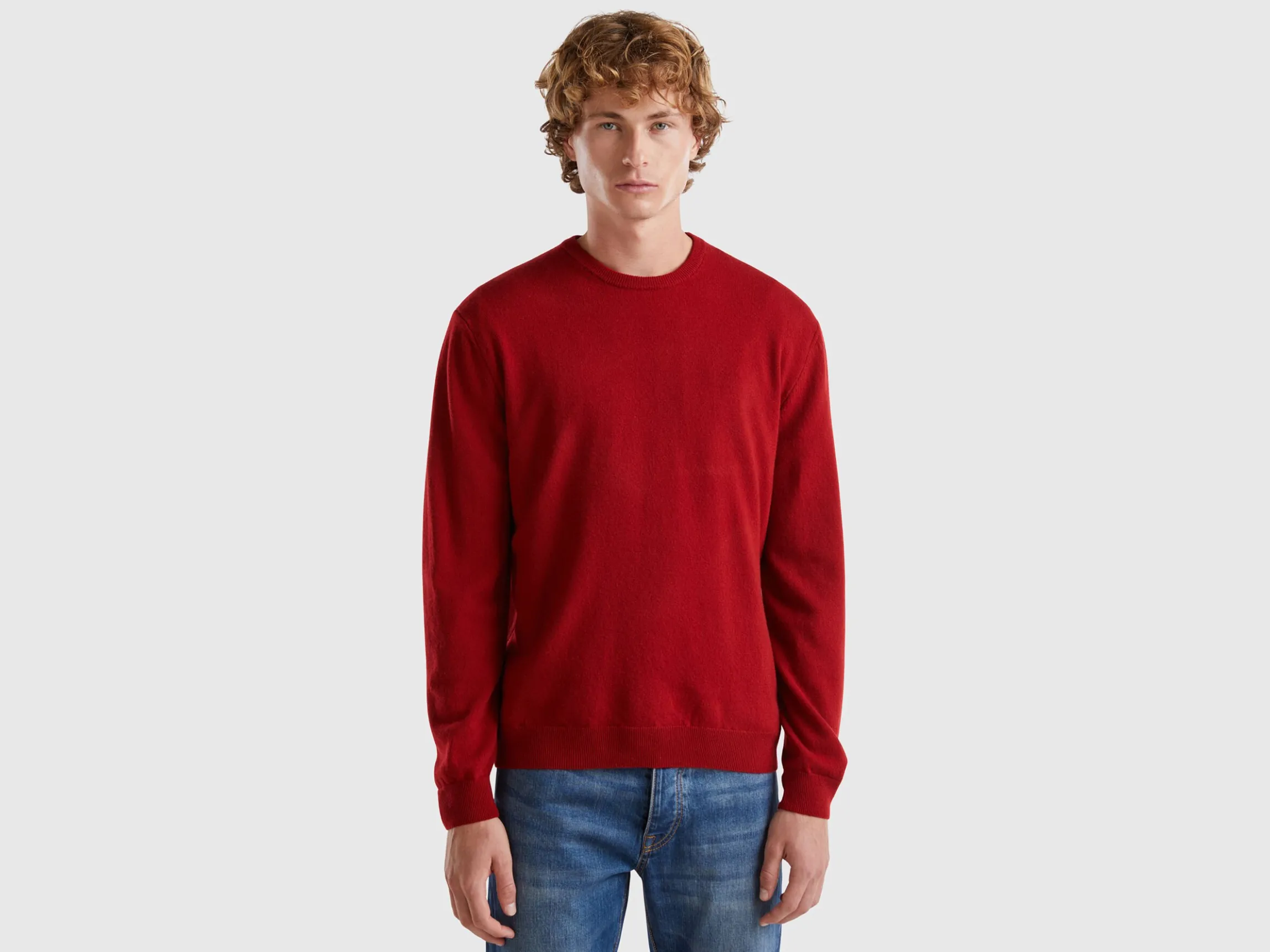Burgundy crew neck sweater in pure Merino wool