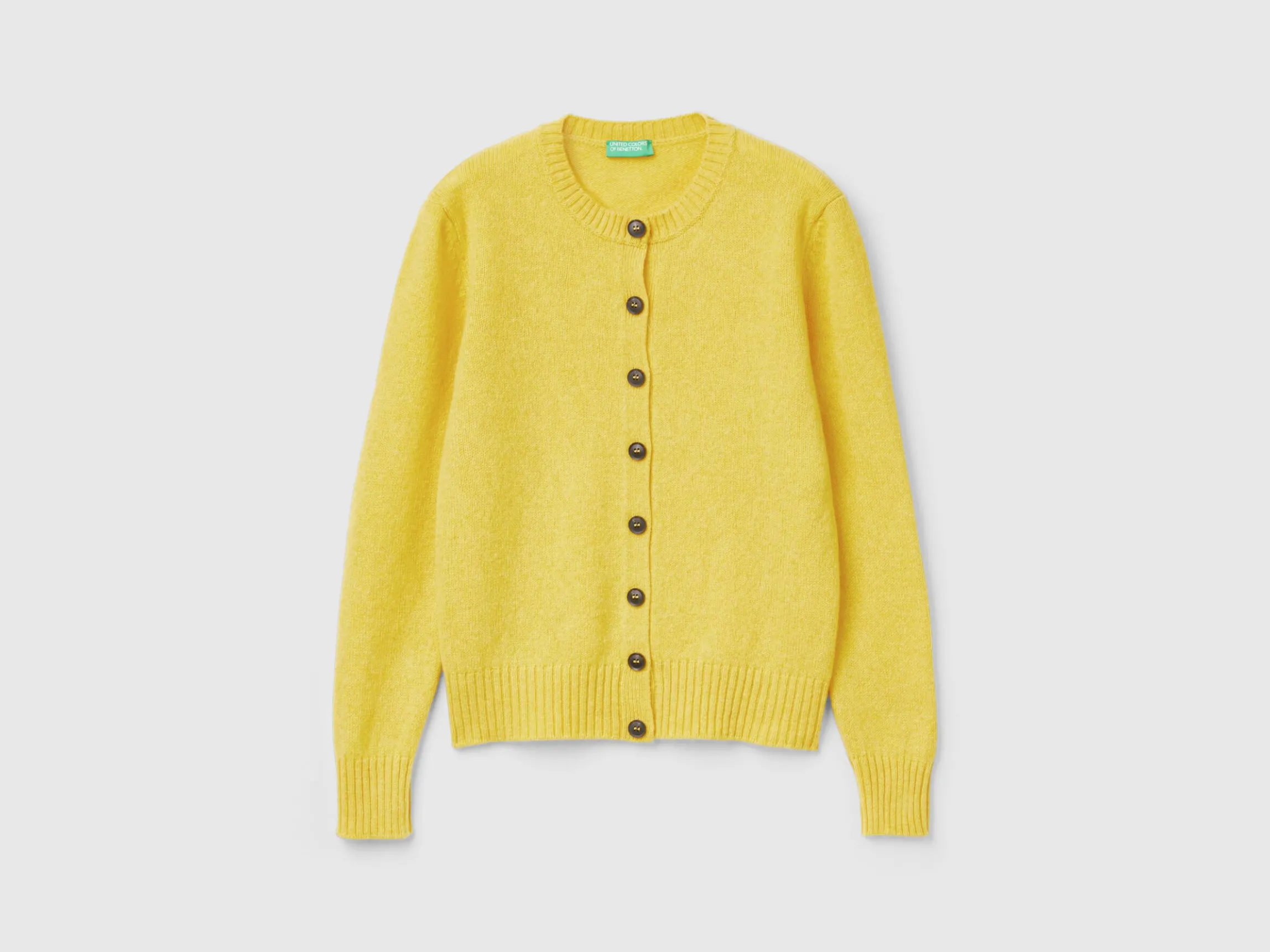 Cardigan in pure Shetland wool
