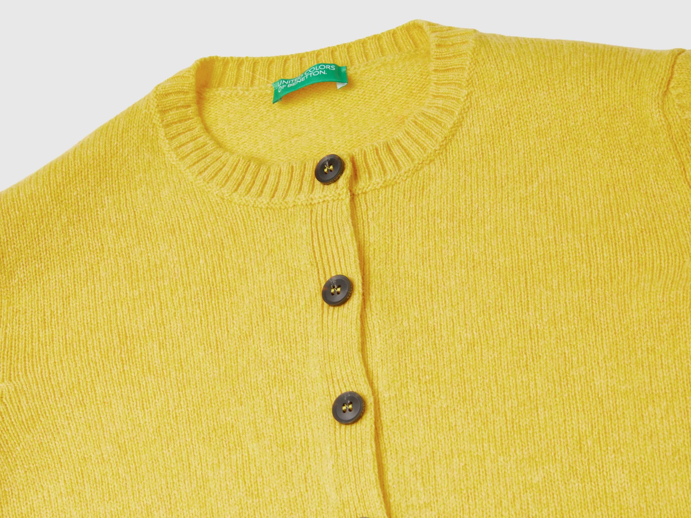 Cardigan in pure Shetland wool