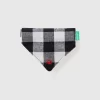 Check bandana for small dogs