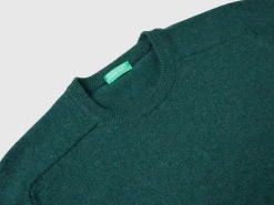Crew neck sweater in pure Merino wool
