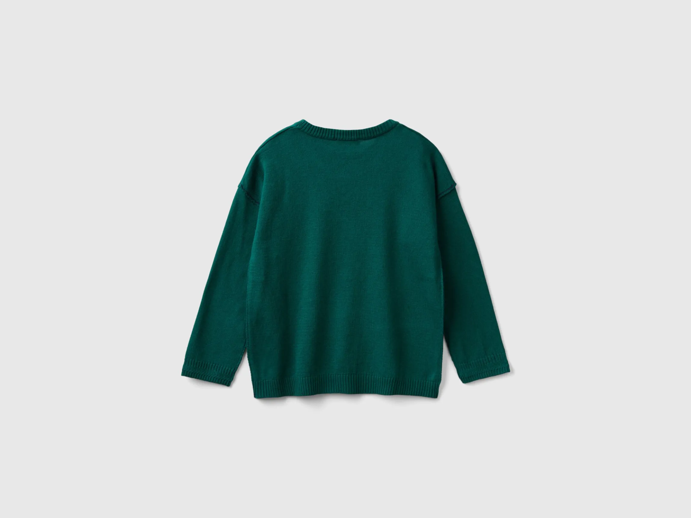 Crew neck sweater with embroidery