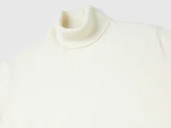 Oversized fit turtleneck in pure cashmere