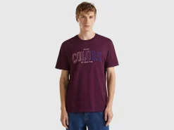 Plum organic cotton t-shirt with multicolor logo