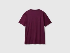 Plum organic cotton t-shirt with multicolor logo
