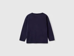 Sweater with dinosaur inlay