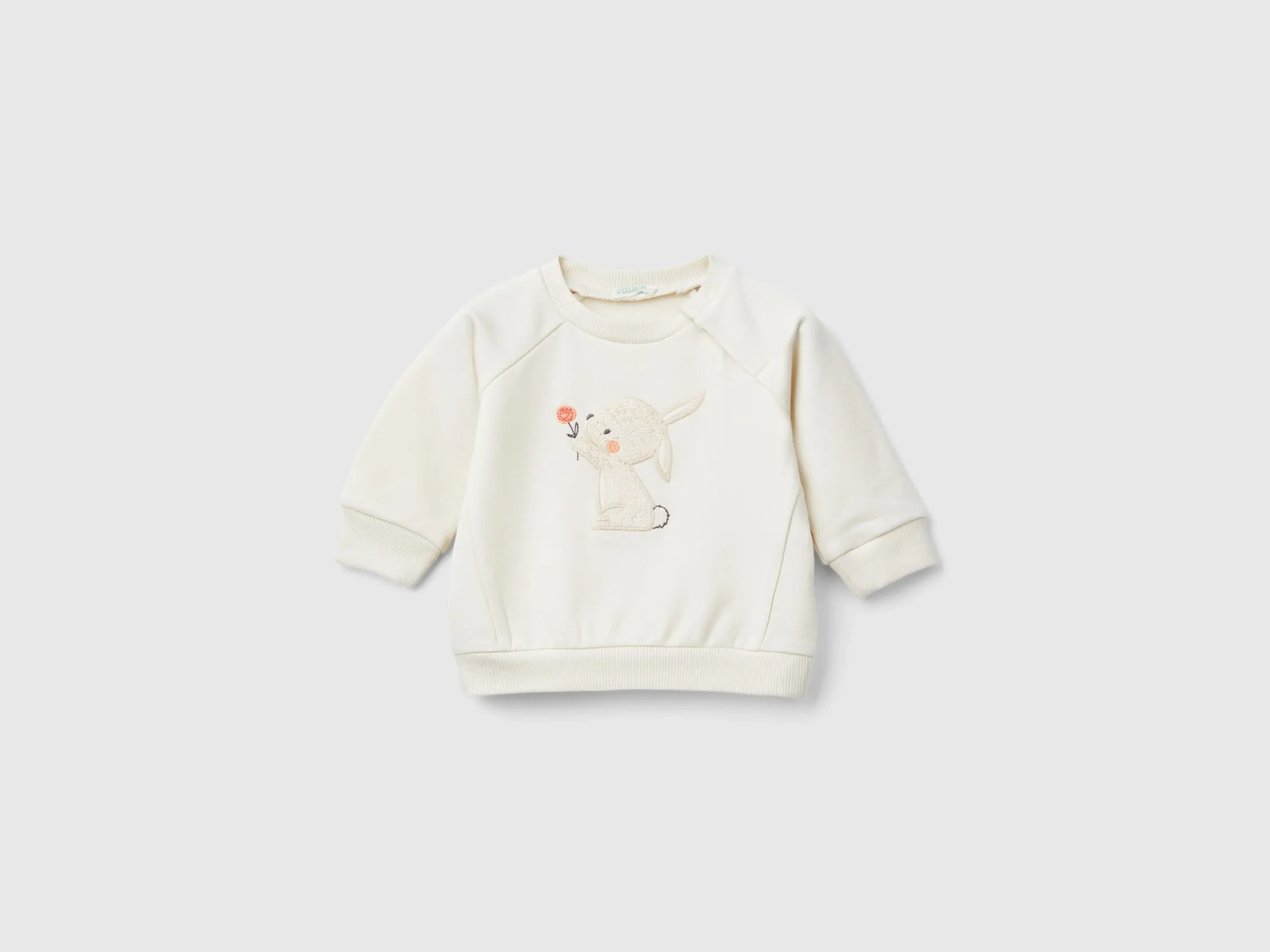 Sweatshirt with animal embroidery