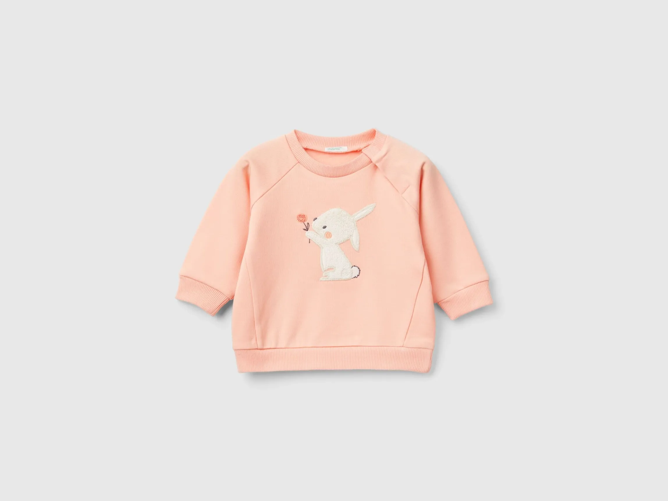 Sweatshirt with animal embroidery