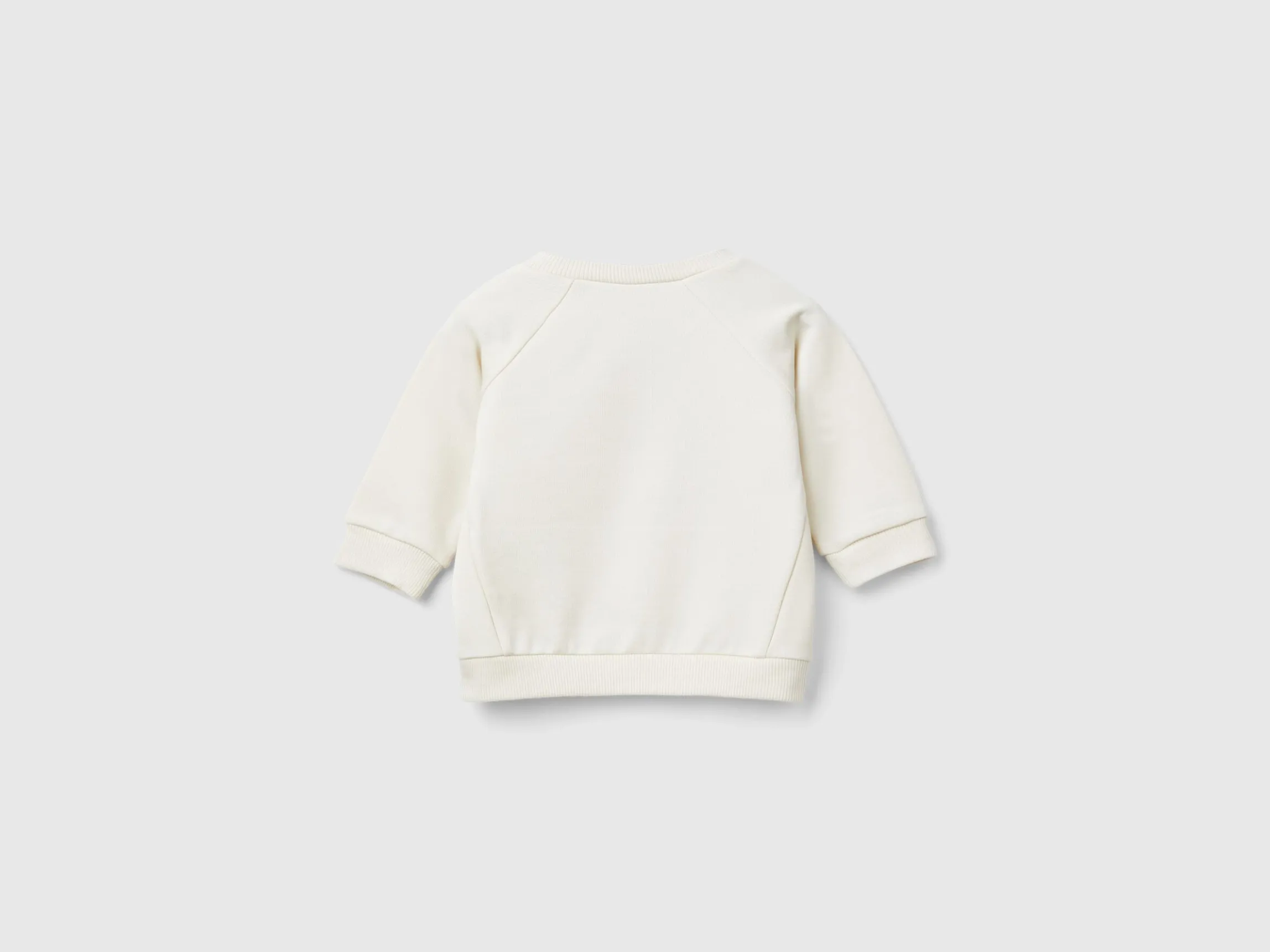 Sweatshirt with animal embroidery