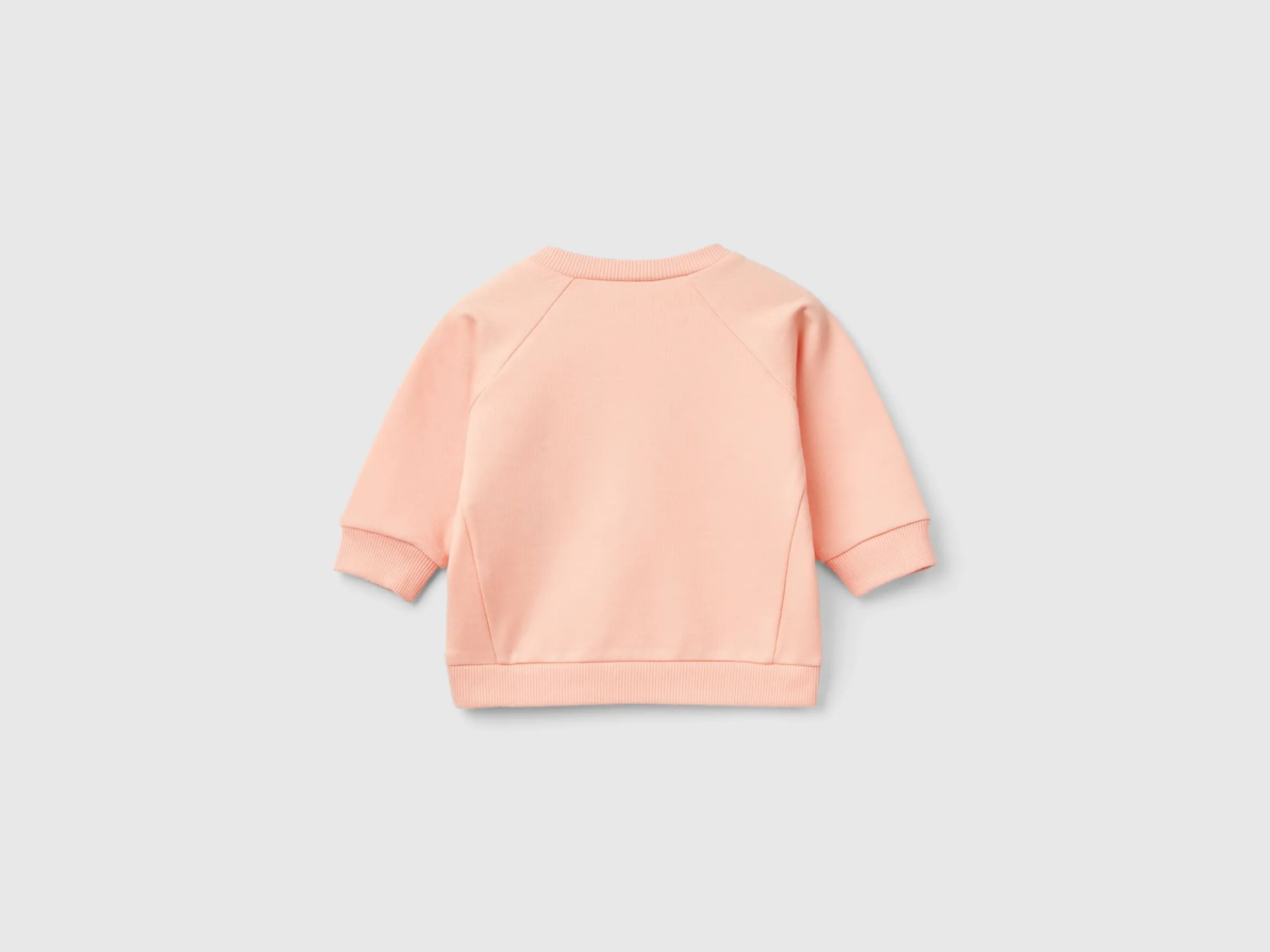 Sweatshirt with animal embroidery