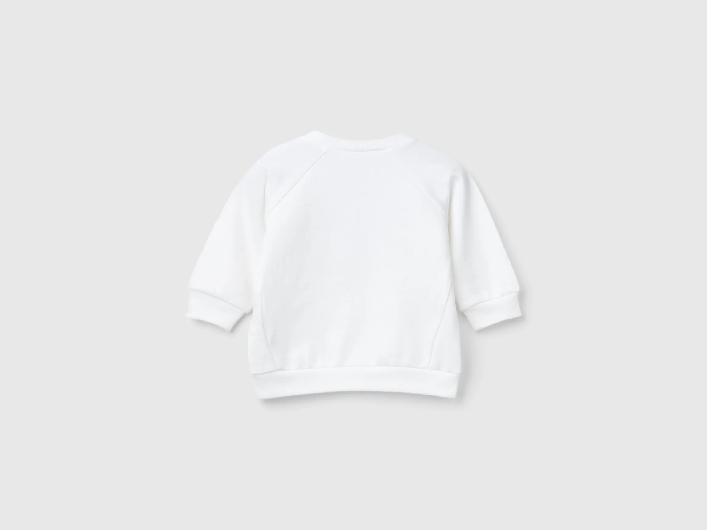 Sweatshirt with animal embroidery