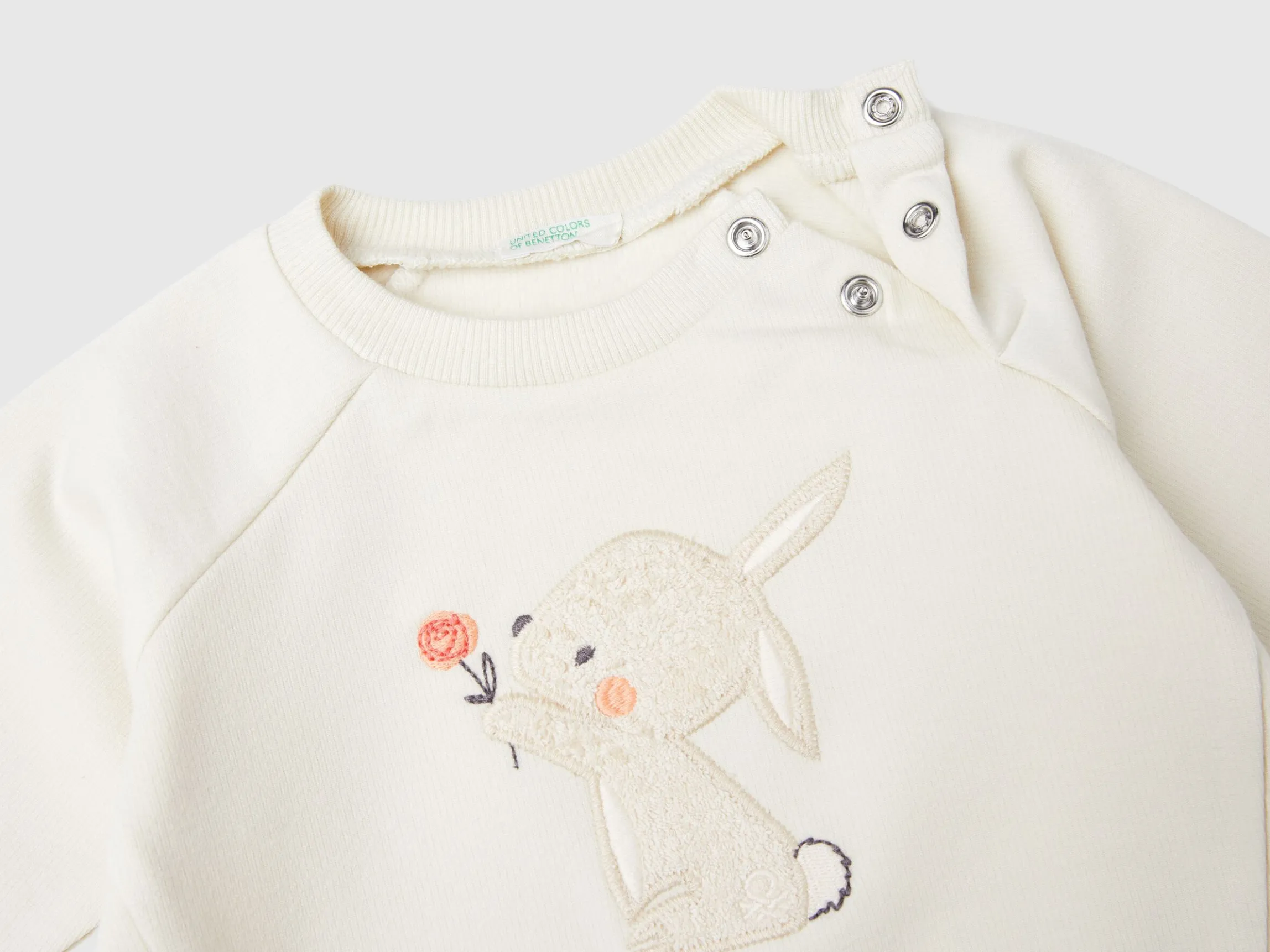 Sweatshirt with animal embroidery
