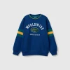 Sweatshirt with embroidery in cotton blend