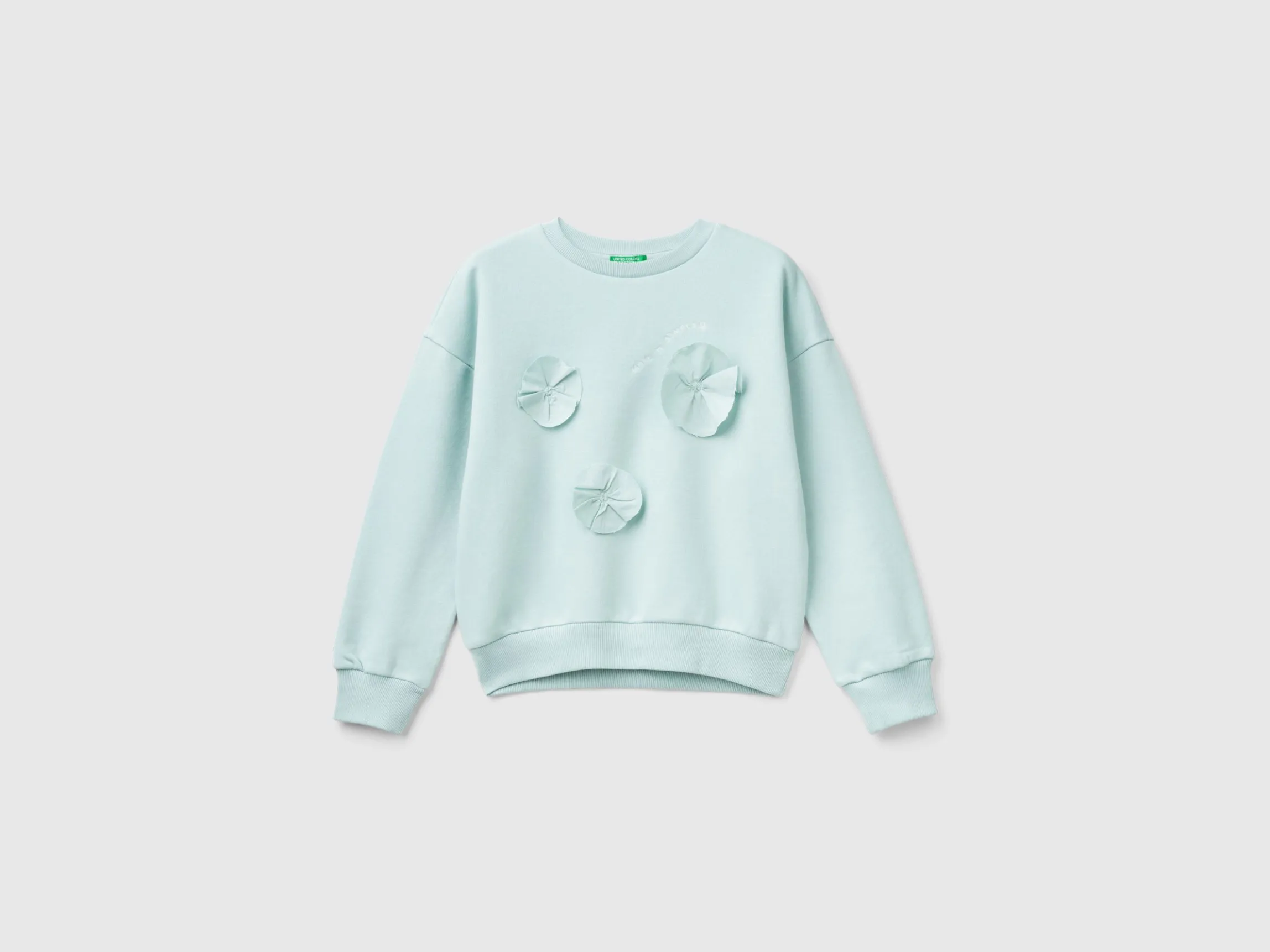 Sweatshirt with embroidery and applique