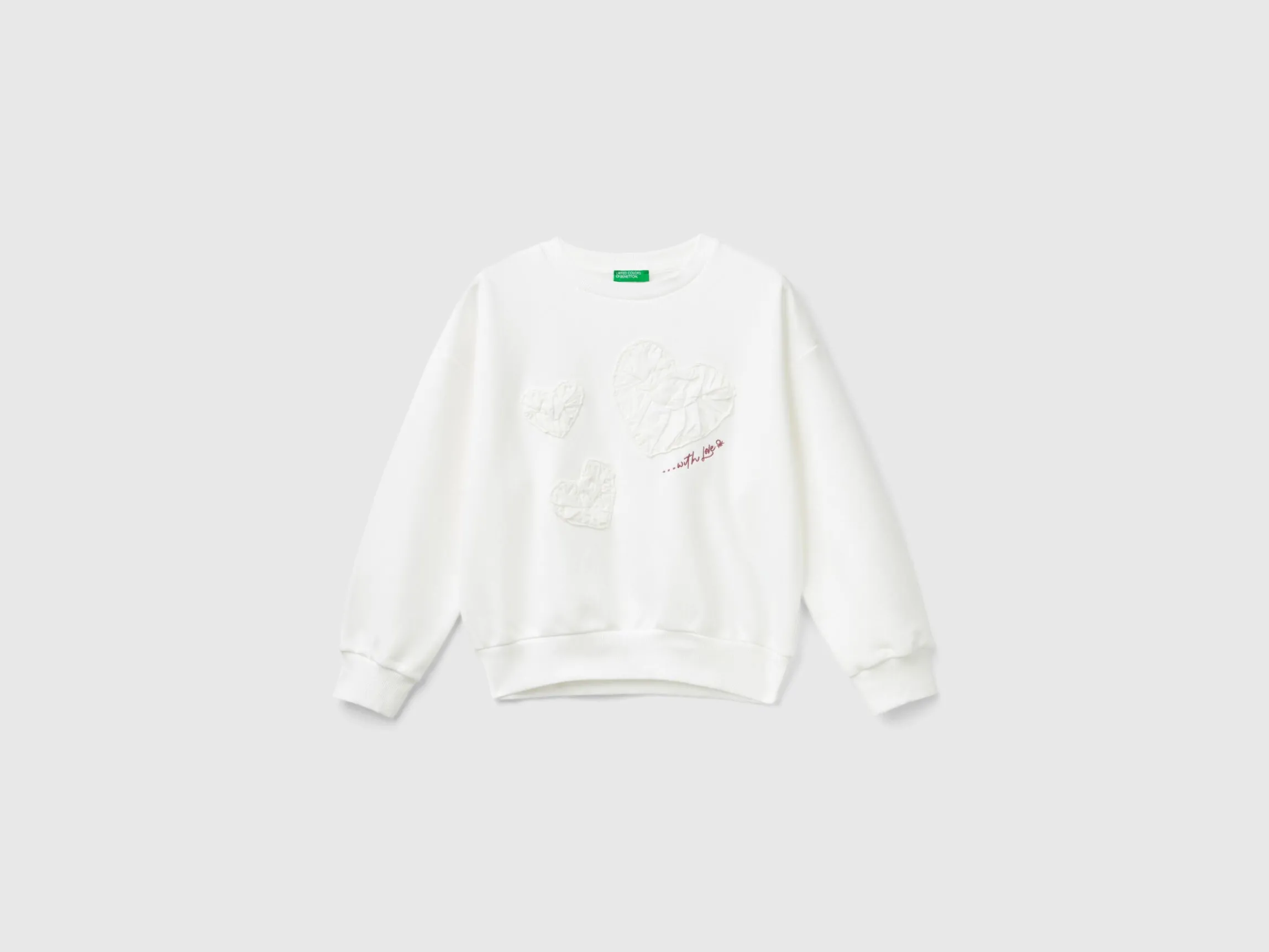 Sweatshirt with embroidery and applique