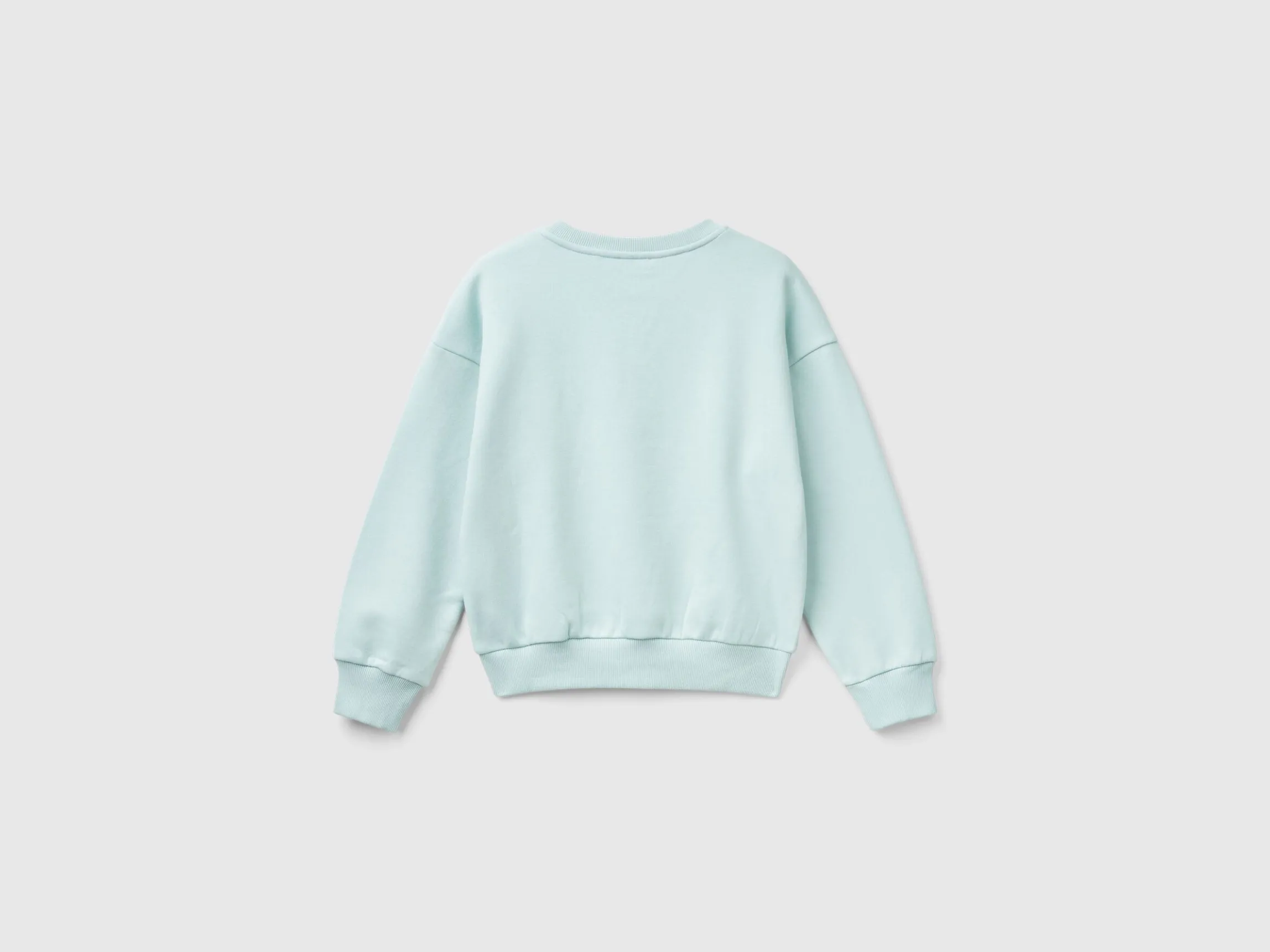 Sweatshirt with embroidery and applique