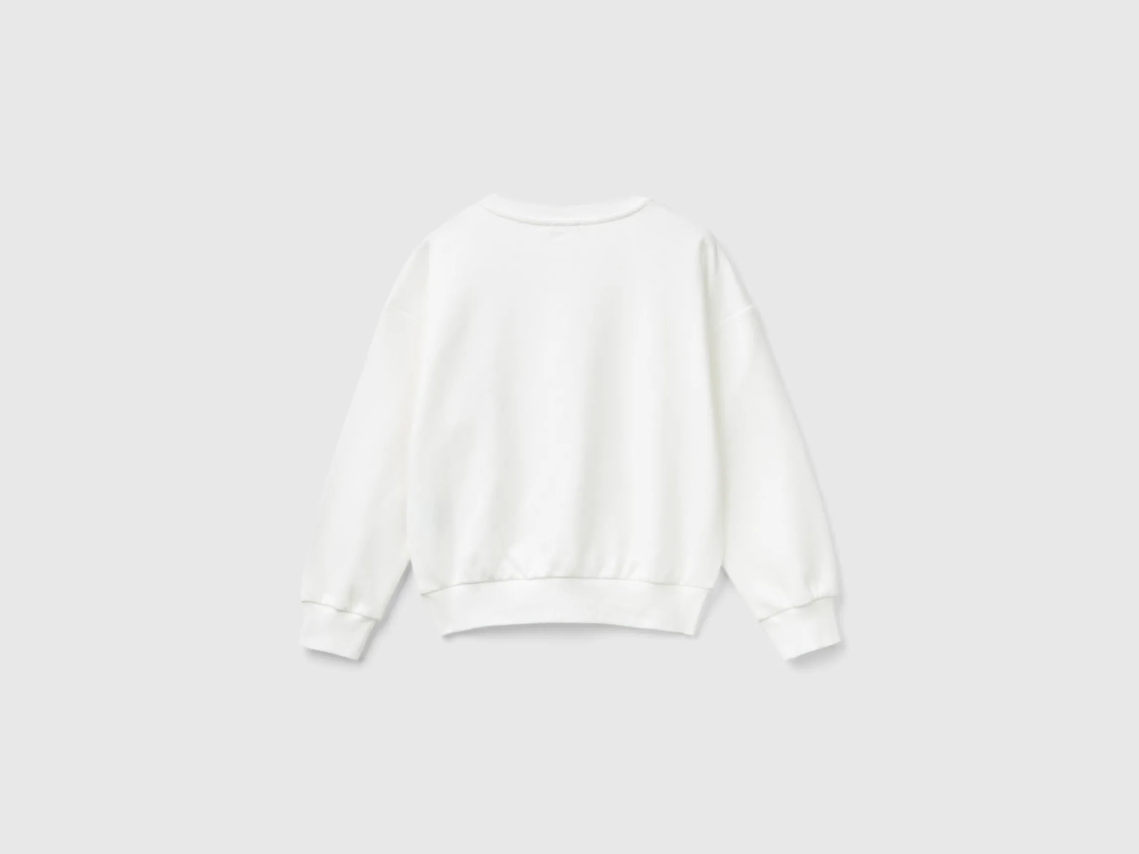 Sweatshirt with embroidery and applique