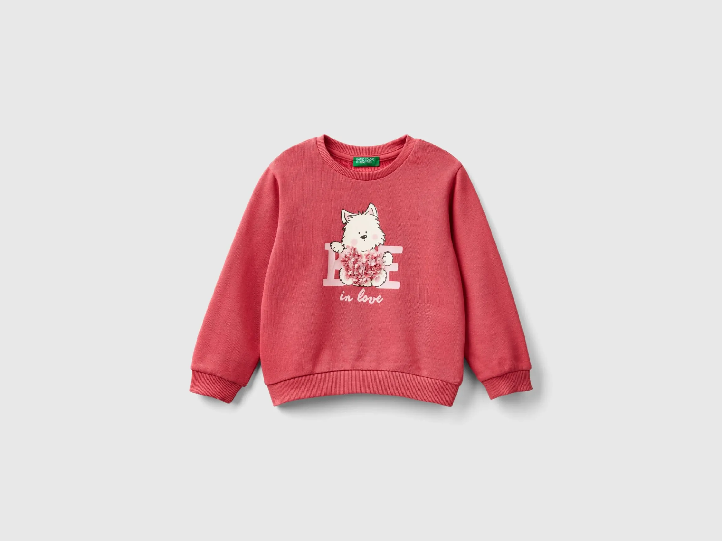 Sweatshirt with petal look applique